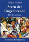 Franz Werfel - Stern der Ungeborenen (Großdruck)