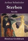 Arthur Schnitzler - Sterben (Großdruck)