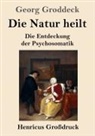 Georg Groddeck - Die Natur heilt (Großdruck)