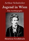 Arthur Schnitzler - Jugend in Wien (Großdruck)
