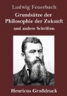 Ludwig Feuerbach - Grundsätze der Philosophie der Zukunft (Großdruck)