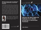 Edna Ribeiro - Efectos de dosis bajas de bisfenol A en células primarias y cancerosas humanas