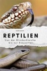Sarah Schmitt - Reptilien