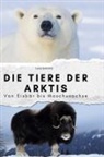 Lucy Schmitz - Die Tiere der Arktis