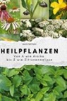 Laura Hartmann - Heilpflanzen