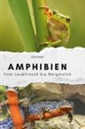 Leon Kaiser - Amphibien