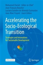 Jean-François Boucher, Mohamed Cheriet, Jean-Marc Frayret, Luciana Gondim de Almeida Guimarães, Gondim de Almeida Guimarães et a - Accelerating the Socio-Ecological Transition