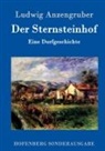 Ludwig Anzengruber, Ludwig Anzengruber - Der Sternsteinhof