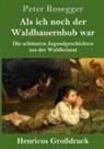 Peter Rosegger - Als ich noch der Waldbauernbub war (Großdruck)