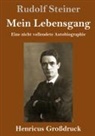 Rudolf Steiner - Mein Lebensgang (Großdruck)
