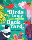 Sarah Epstein - Birds in my Australian Back Yard