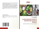 Abdelaali Belhachem, Asmaa Hasnaa Fergane, Houari Toumi - GUIDE PRATIQUE POUR LA GESTION DES CALCULS RENAUX