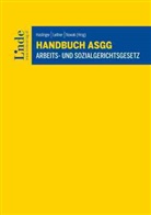 Markus Grundtner, Daniela Vogler, Patricia Wolf, Paul Haslinger, Michael Leitner, Johann Nowak - Handbuch ASGG | Arbeits- und Sozialgerichtsgesetz
