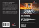 Subeen Kim, Sungjoo Kim, Taerin Kim - Uno studio sul meccanismo di trasformazione dell'anidride carbonica in metanolo