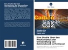 Subeen Kim, Sungjoo Kim, Taerin Kim - Eine Studie über den Mechanismus der Umwandlung von Kohlendioxid in Methanol