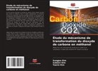 Subeen Kim, Sungjoo Kim, Taerin Kim - Étude du mécanisme de transformation du dioxyde de carbone en méthanol
