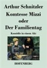 Arthur Schnitzler - Komtesse Mizzi oder Der Familientag