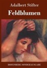 Adalbert Stifter - Feldblumen