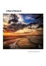 David Petersen - A Music of Stormy Cs