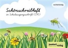 Anja Wachendorf - Schönschreibheft in SAS- rechtshändig - Schulausgangsschrift