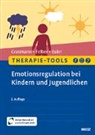 Felix Euler, Anke Felber, Dörte Grasmann - Therapie-Tools Emotionsregulation bei Kindern und Jugendlichen