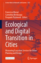 Carmelina Bevilacqua, Francesca Moraci, Pasquale Pizzimenti - Ecological and Digital Transition in Cities