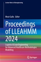 Mosè Gallo - Proceedings of LLEAHMM 2024