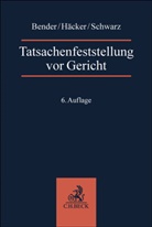 Robert Häcker, Robert (Dr.) Häcker, Volker Schwarz, Rolf Bender, Nack, Armin Nack... - Tatsachenfeststellung vor Gericht