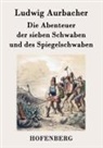 Ludwig Aurbacher - Die Abenteuer der sieben Schwaben und des Spiegelschwaben