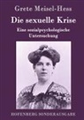 Grete Meisel-Hess, Grete Meisel-Hess - Die sexuelle Krise