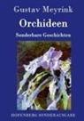 Gustav Meyrink - Orchideen
