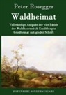 Peter Rosegger - Waldheimat