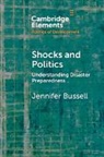 Jennifer Bussell, Jennifer (University of California Bussell, Bussell Jennifer - Shocks and Politics