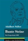 Adalbert Stifter, Klara Neuhaus-Richter - Bunte Steine