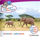 Nicole Brandau, Stefanie Drecktrah - Lesestart mit Eberhart: Elefanten - echt enorm