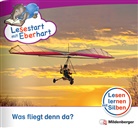 Nicole Brandau, Stefanie Drecktrah - Lesestart mit Eberhart: Was fliegt denn da?