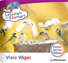 Nicole Brandau, Stefanie Drecktrah - Lesestart mit Eberhart: Viele Vögel