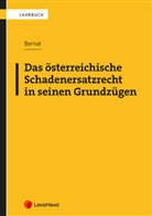 Erwin Bernat - Das österreichische Schadenersatzrecht in seinen Grundzügen
