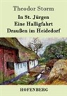 Theodor Storm - In St. Jürgen / Eine Halligfahrt / Draußen im Heidedorf