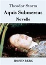 Theodor Storm - Aquis Submersus