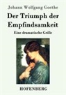 Johann Wolfgang von Goethe - Der Triumph der Empfindsamkeit