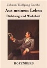Johann Wolfgang von Goethe - Aus meinem Leben. Dichtung und Wahrheit