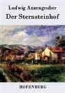 Ludwig Anzengruber - Der Sternsteinhof