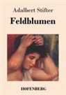 Adalbert Stifter - Feldblumen