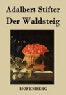 Adalbert Stifter - Der Waldsteig