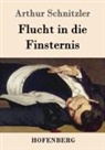 Arthur Schnitzler - Flucht in die Finsternis
