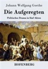 Johann Wolfgang von Goethe - Die Aufgeregten