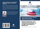 Walla Hamada Saad Abo Elgalagel, Ibrahim El Sayed El Desouky, Sa Mahmoud Helmy, Salwa Mahmoud Helmy - Bakteriologische und molekulare Studien zu einigen pathogenen Bakterien