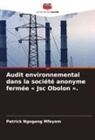 Patrick Ngogang Mfeyom - Audit environnemental dans la société anonyme fermée « Jsc Obolon ».