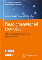 Stephen Fedtke, Karsten Noack - Paradigmenwechsel Low-Code, m. 1 Buch, m. 1 E-Book